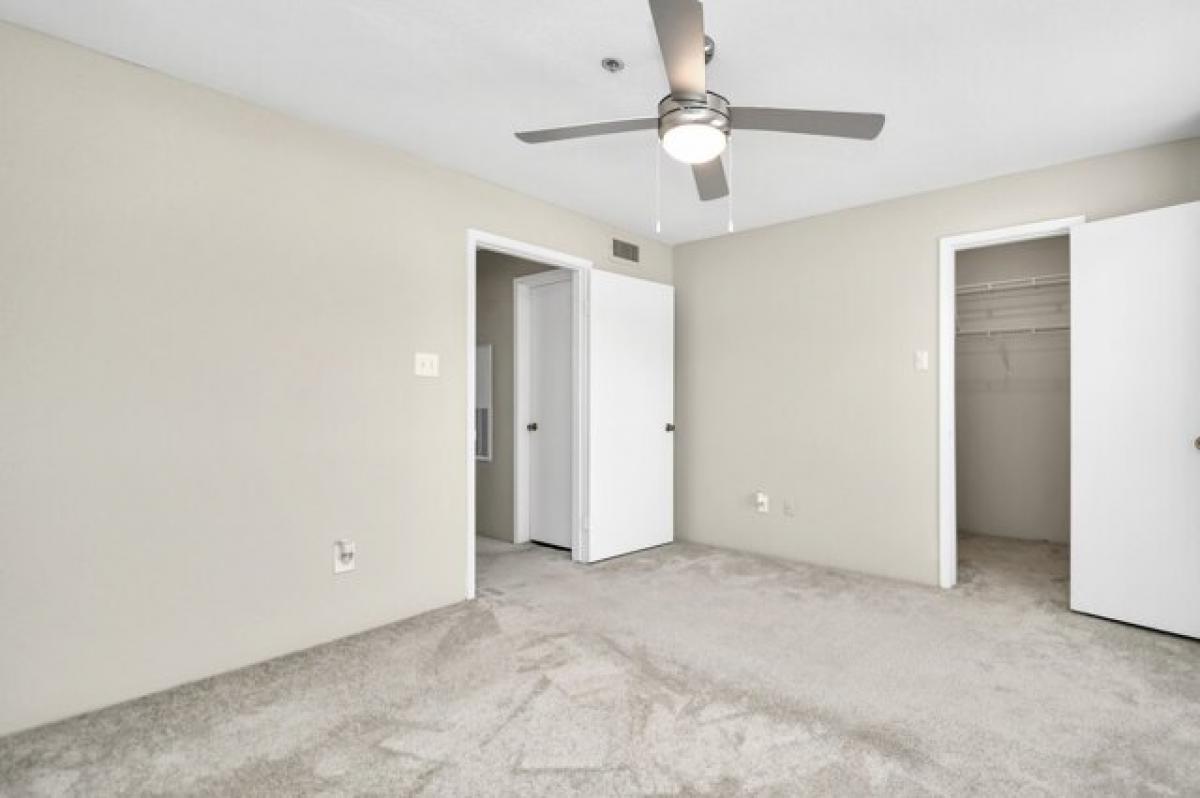 Picture of Apartment For Rent in League City, Texas, United States