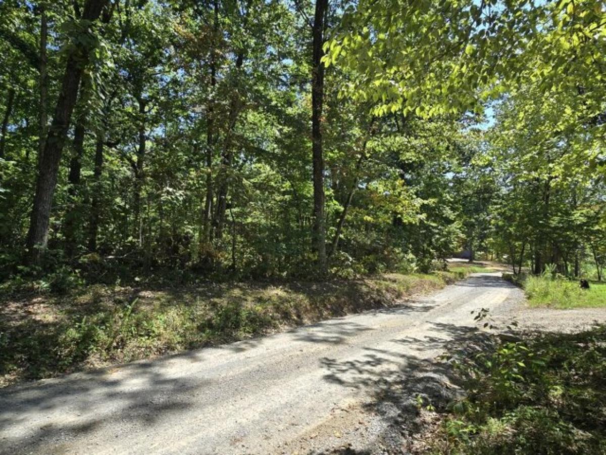 Picture of Residential Land For Sale in Spring City, Tennessee, United States