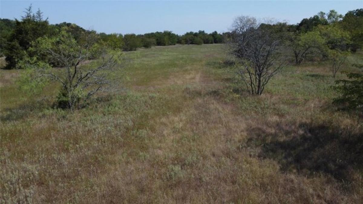 Picture of Residential Land For Sale in Commerce, Texas, United States