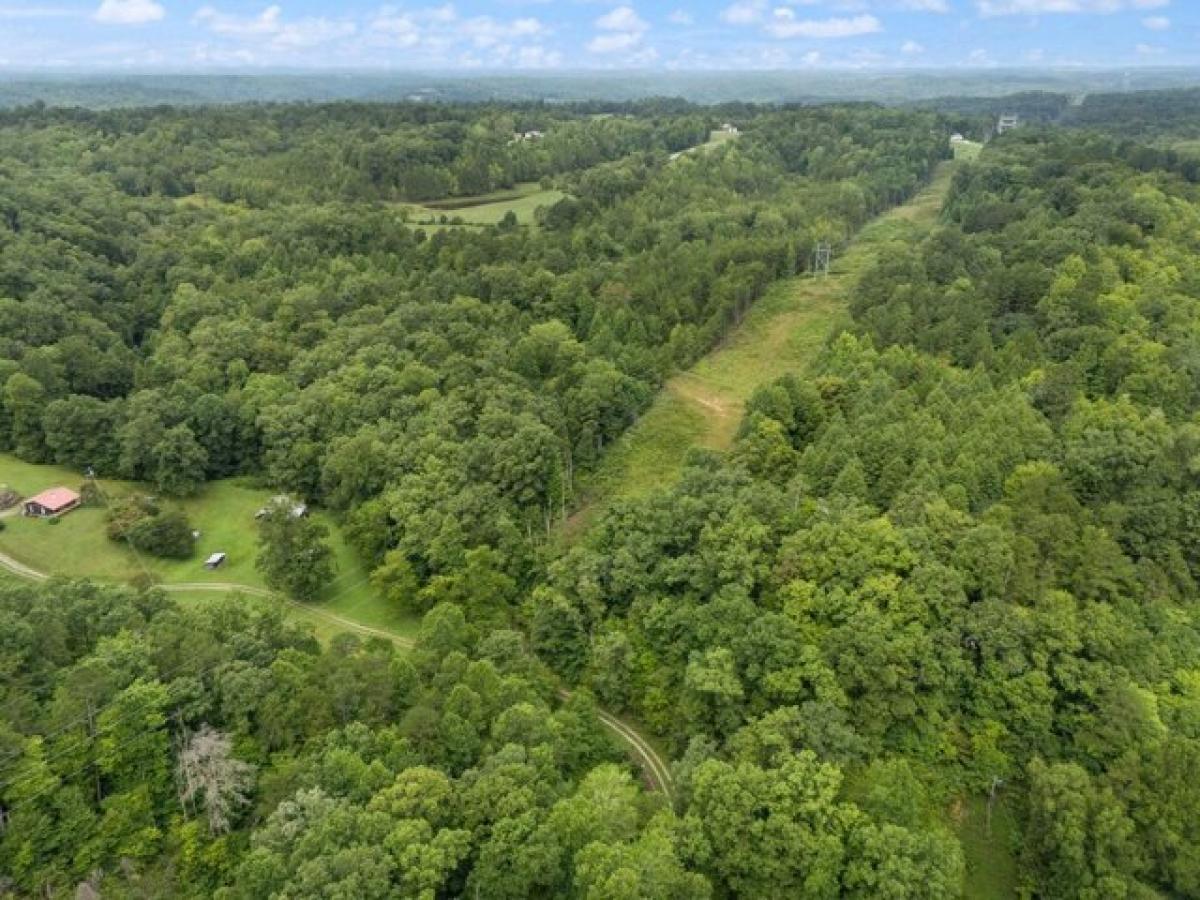 Picture of Residential Land For Sale in Beattyville, Kentucky, United States