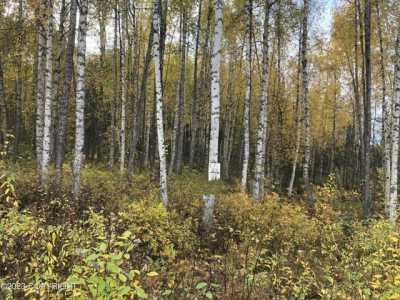 Residential Land For Sale in Willow, Alaska