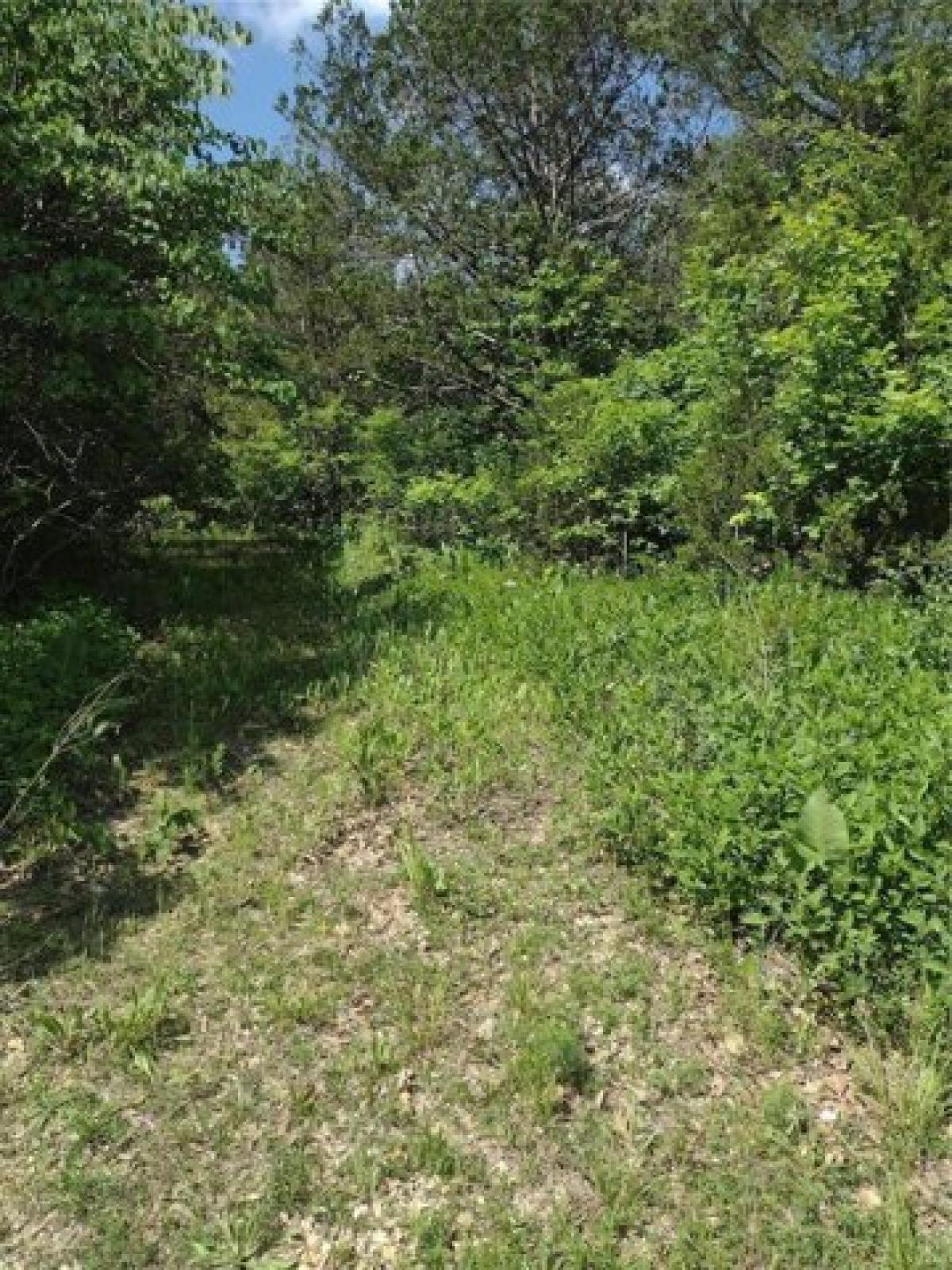 Picture of Residential Land For Sale in Bonne Terre, Missouri, United States