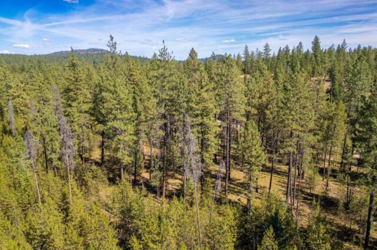 Picture of Residential Land For Sale in Valley, Washington, United States