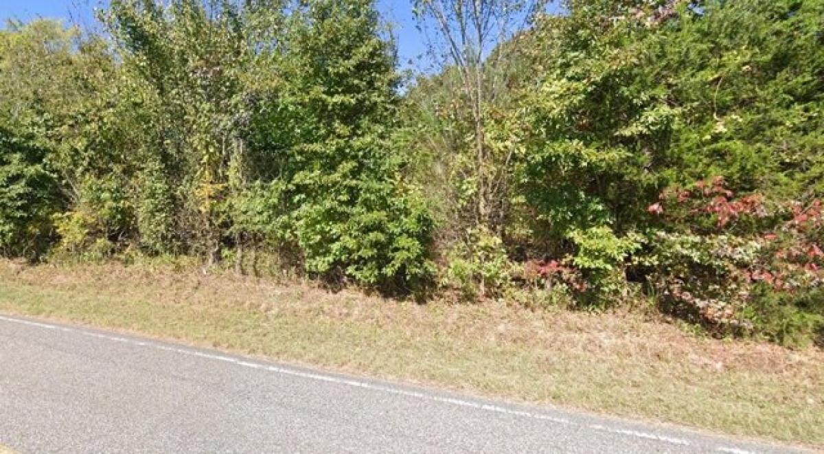 Picture of Residential Land For Sale in Buena Vista, Tennessee, United States