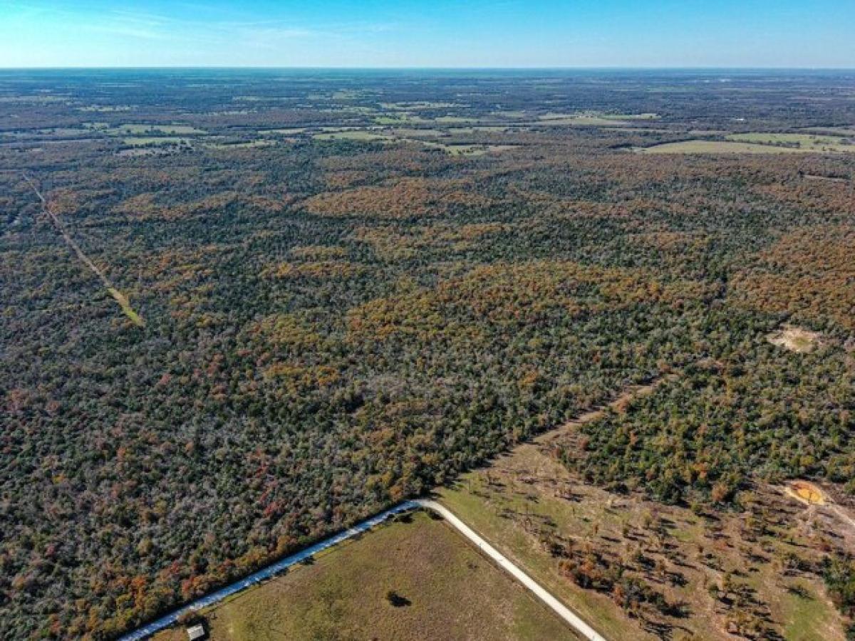 Picture of Residential Land For Sale in Kosse, Texas, United States