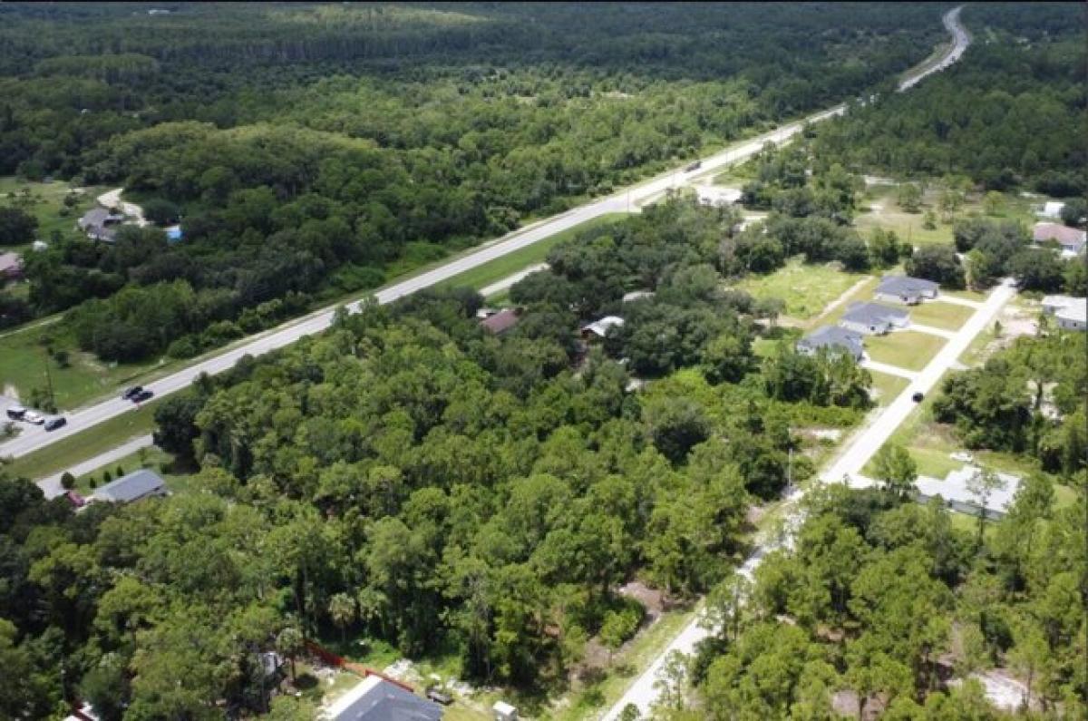 Picture of Residential Land For Sale in Alva, Florida, United States