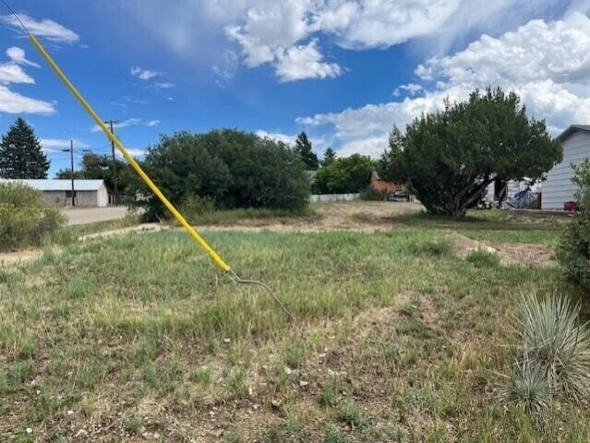 Picture of Residential Land For Sale in Trinidad, Colorado, United States