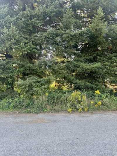 Residential Land For Sale in Crescent City, California