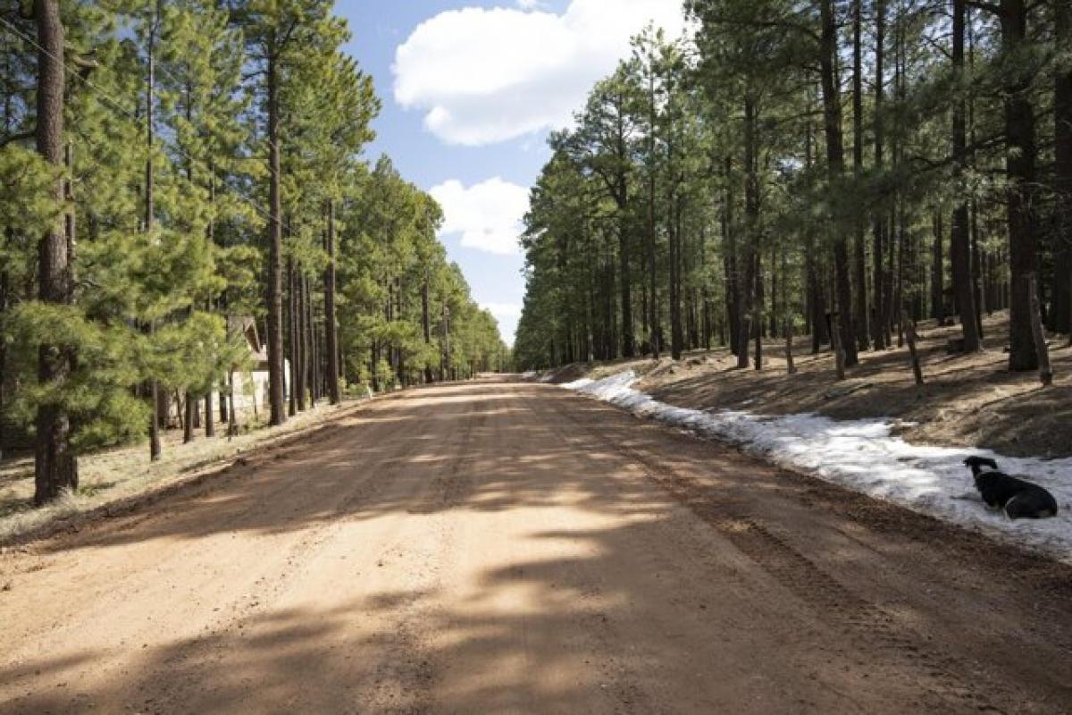 Picture of Residential Land For Sale in Forest Lakes, Arizona, United States