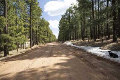 Residential Land For Sale in Forest Lakes, Arizona