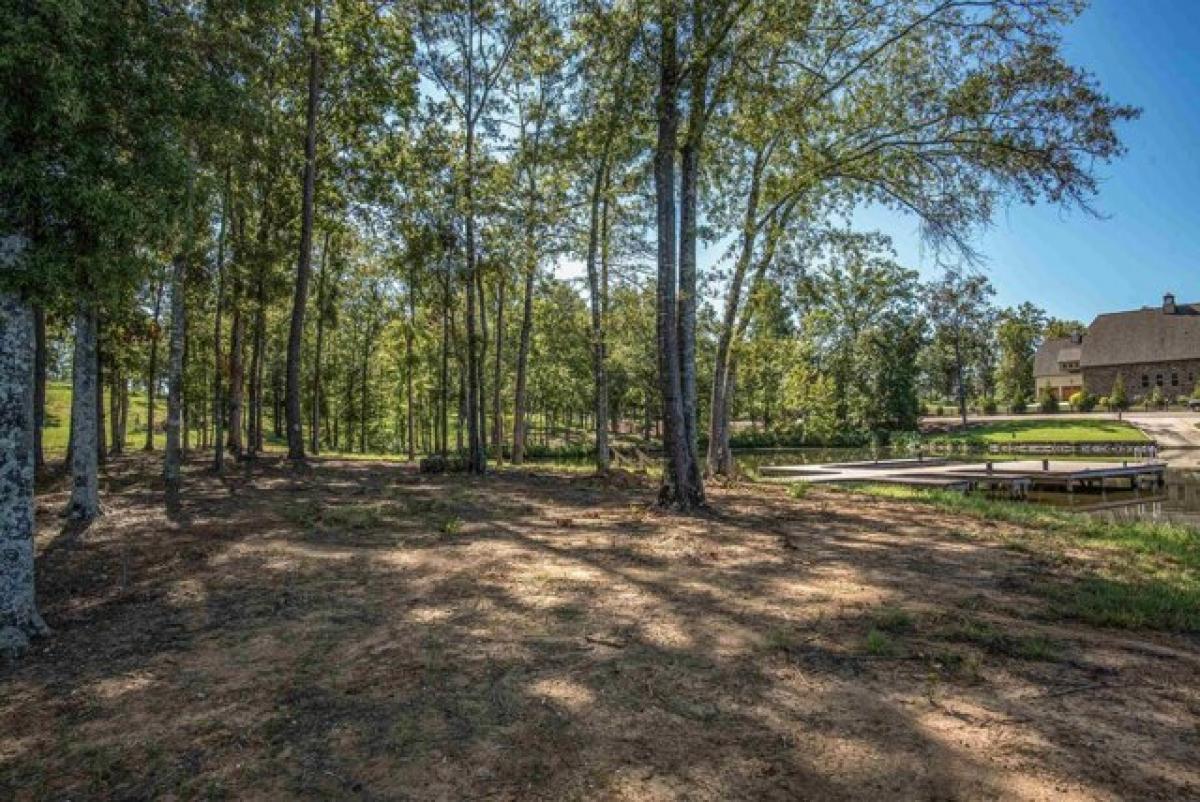 Picture of Residential Land For Sale in Greensboro, Georgia, United States