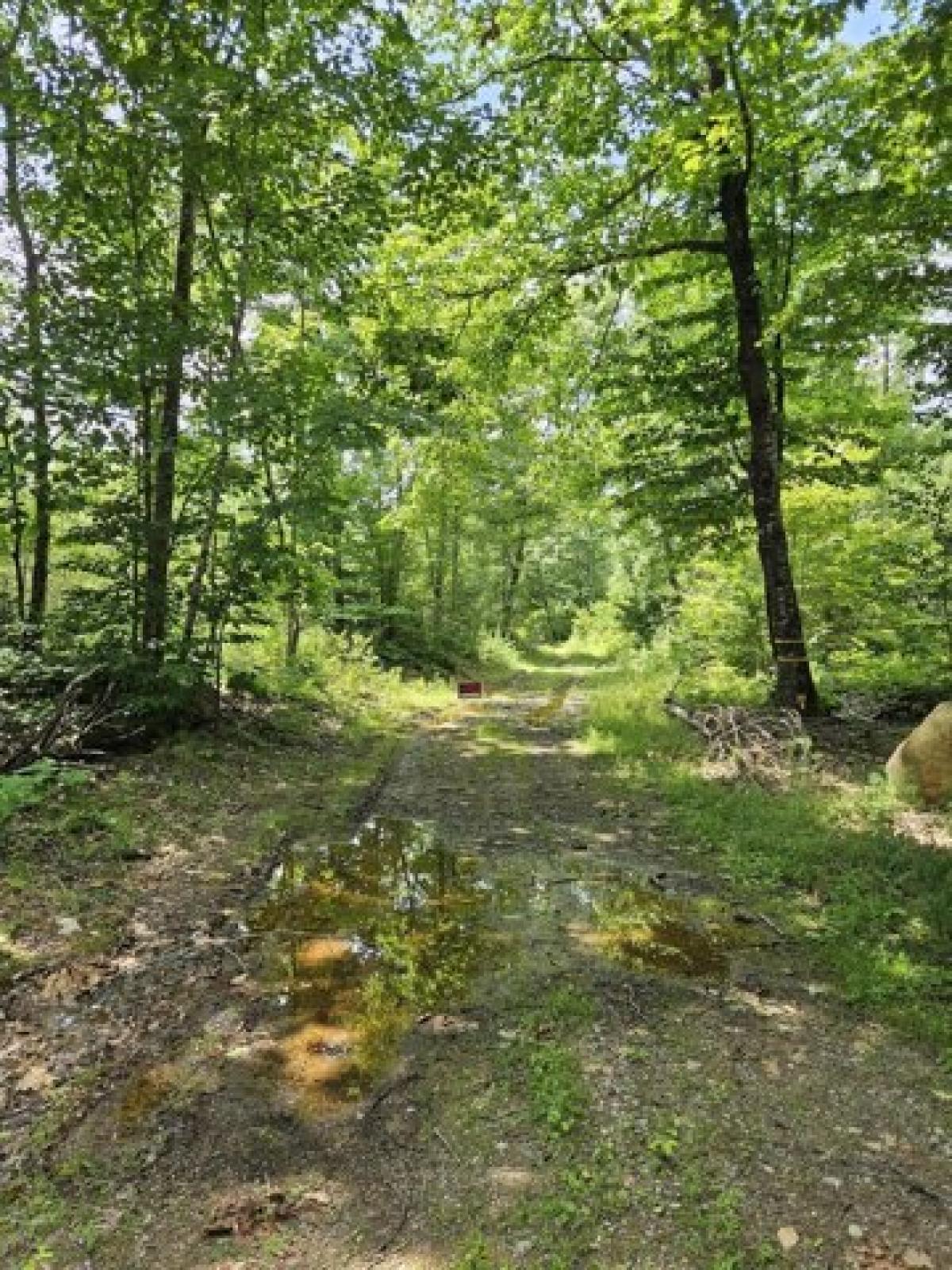 Picture of Residential Land For Sale in Bradford, Maine, United States