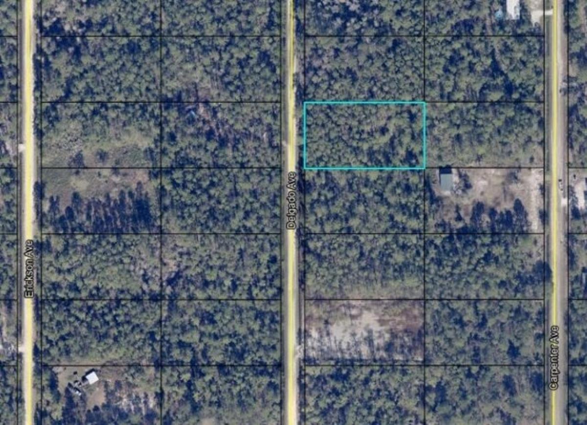 Picture of Residential Land For Sale in Hastings, Florida, United States