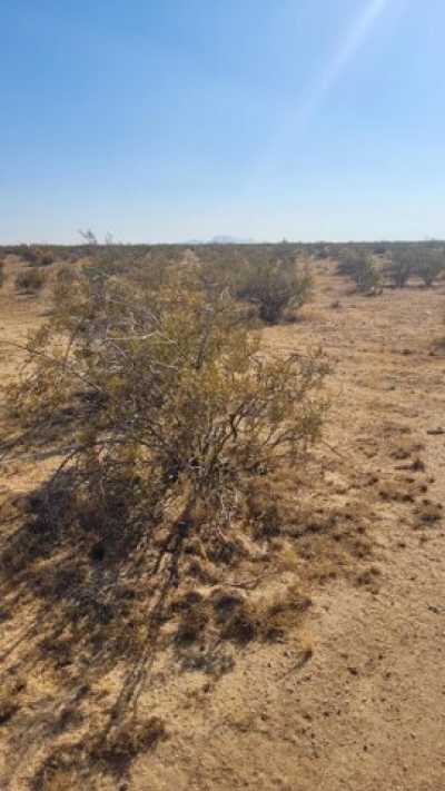 Residential Land For Sale in California City, California