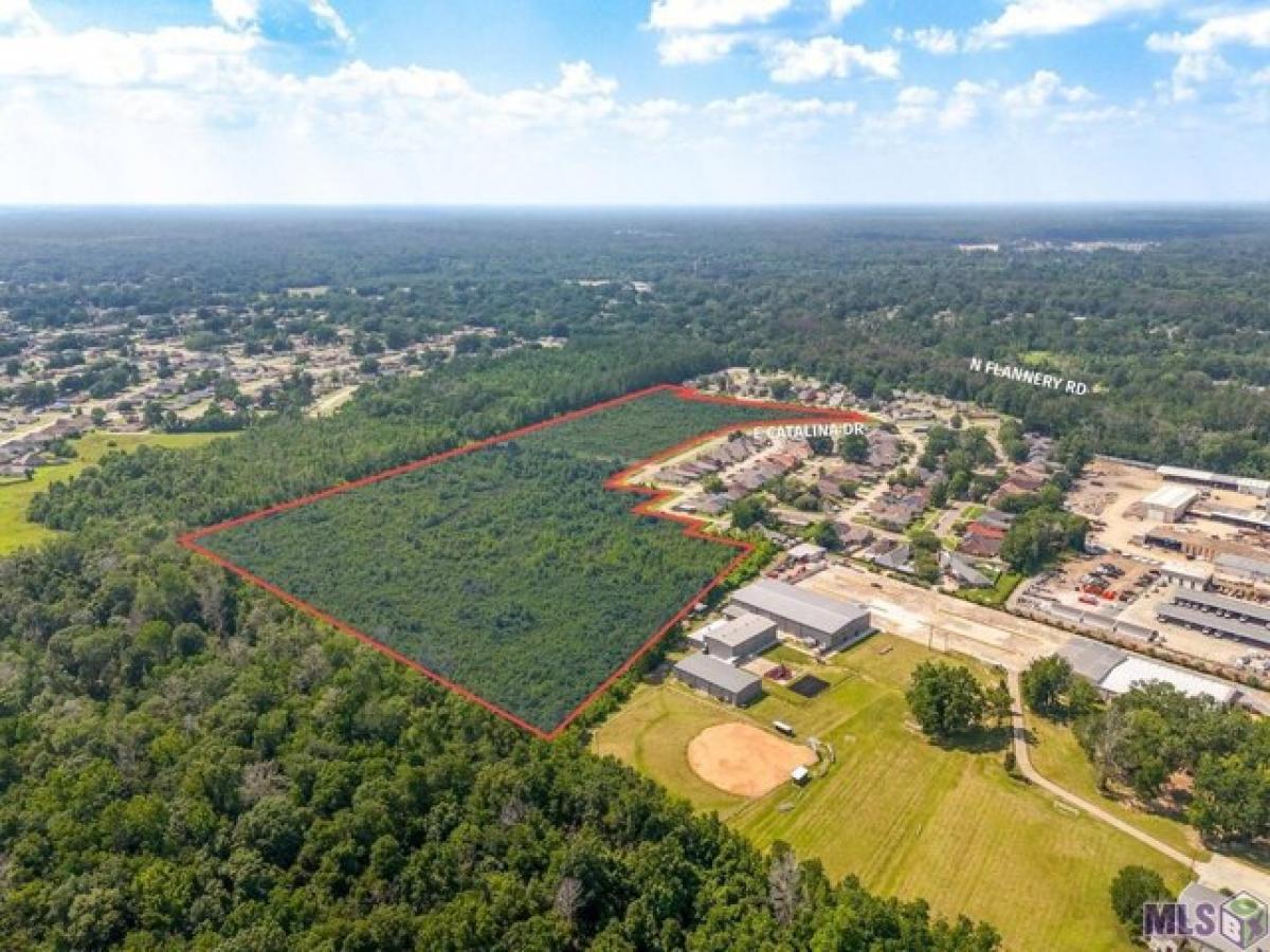 Picture of Residential Land For Sale in Baton Rouge, Louisiana, United States