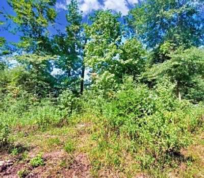 Residential Land For Sale in Lufkin, Texas