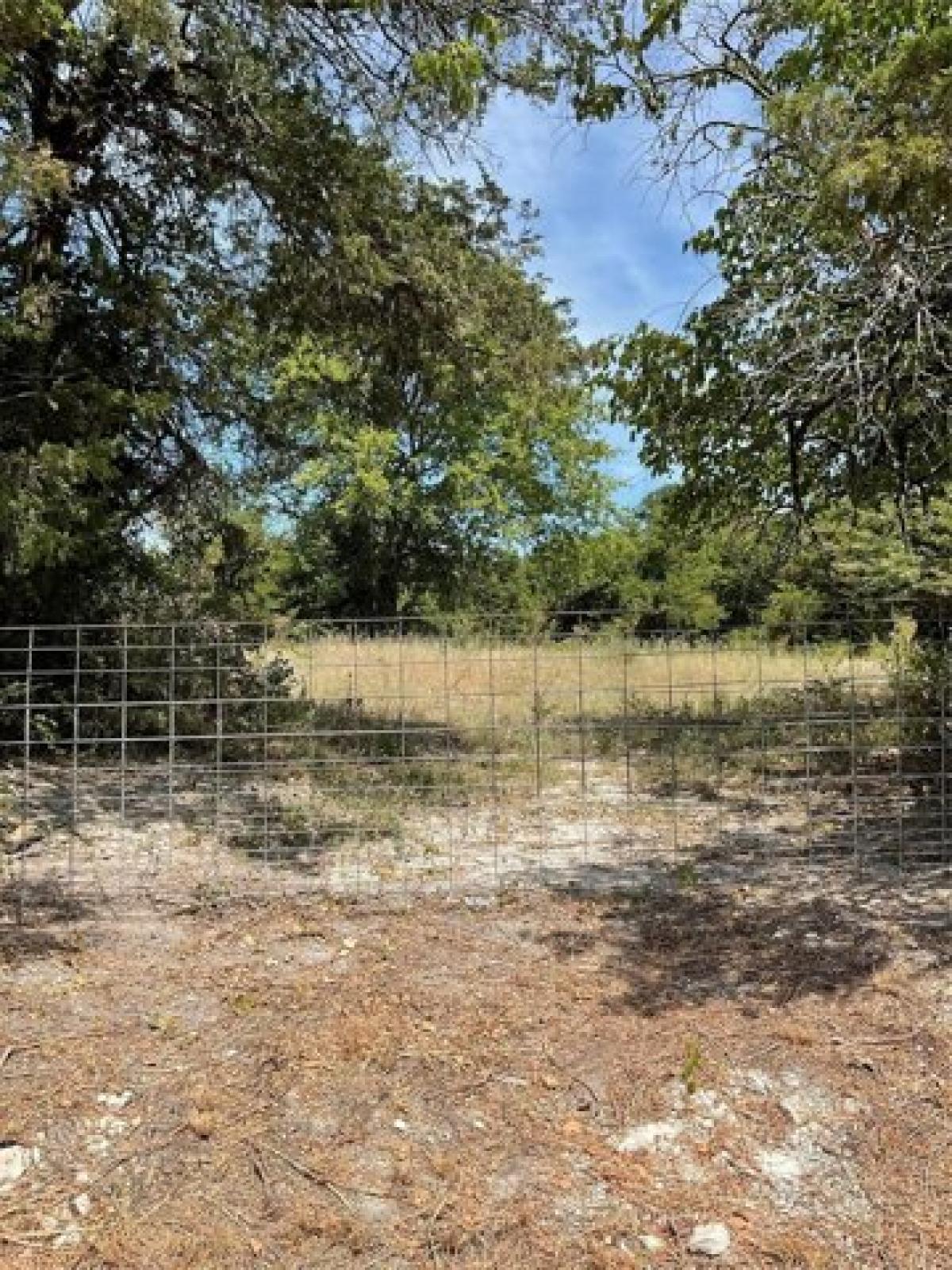 Picture of Residential Land For Sale in Bonham, Texas, United States