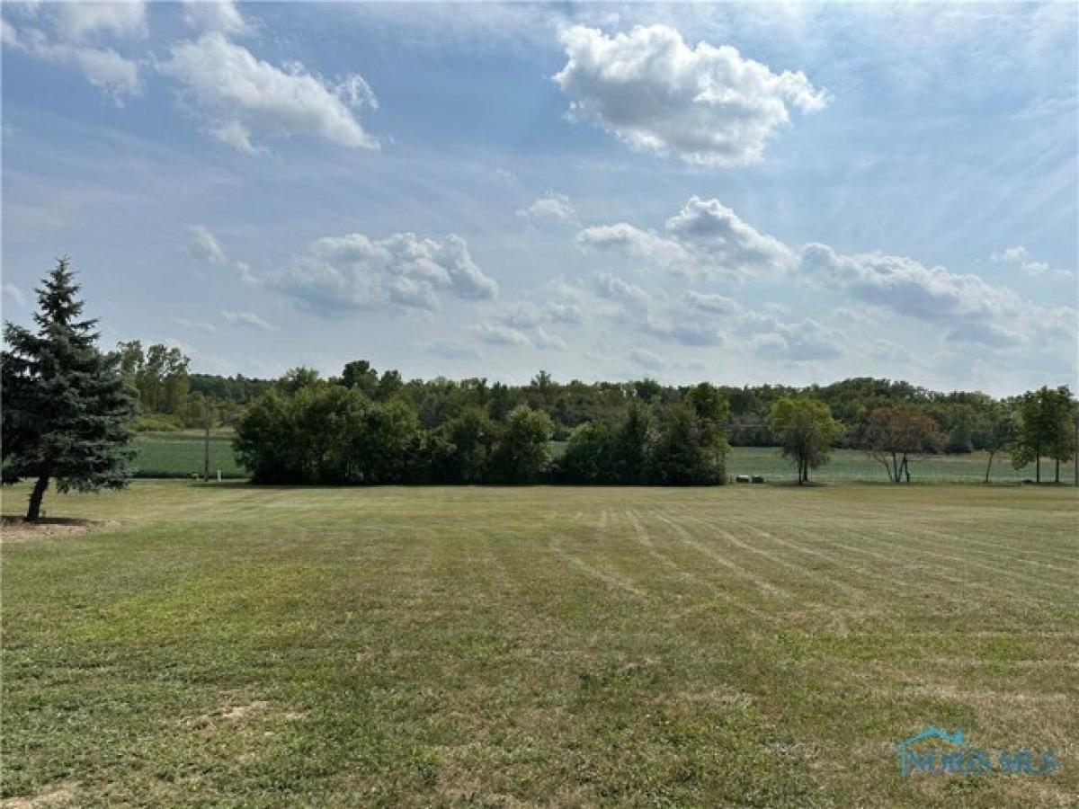 Picture of Residential Land For Sale in Montpelier, Ohio, United States