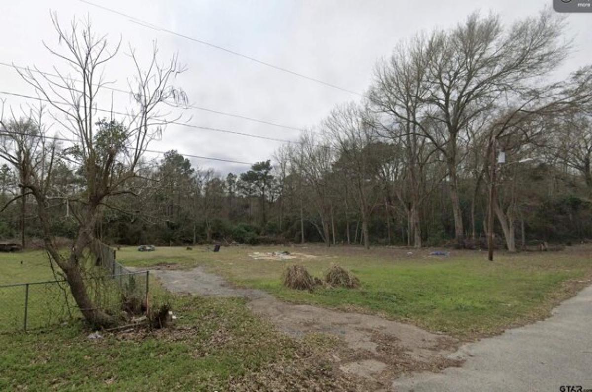 Picture of Residential Land For Sale in Overton, Texas, United States