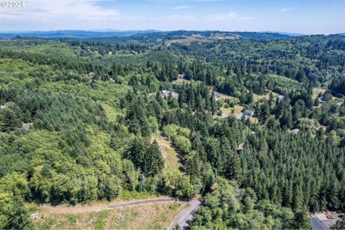 Picture of Residential Land For Sale in Longview, Washington, United States