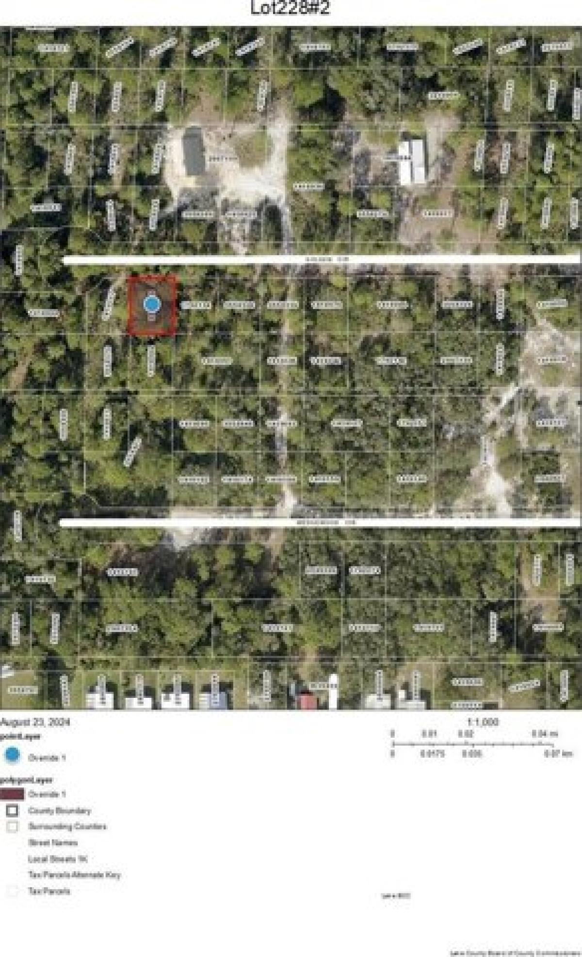 Picture of Residential Land For Sale in Mount Dora, Florida, United States