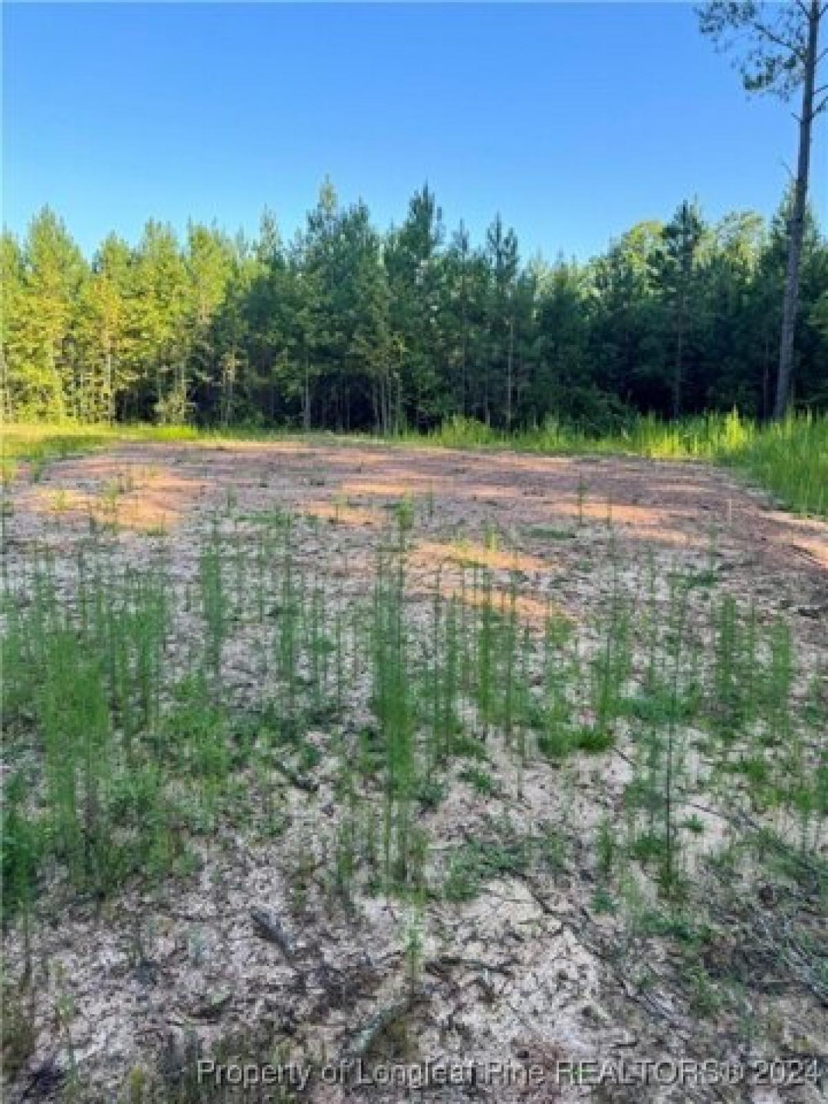 Picture of Residential Land For Sale in Sanford, North Carolina, United States