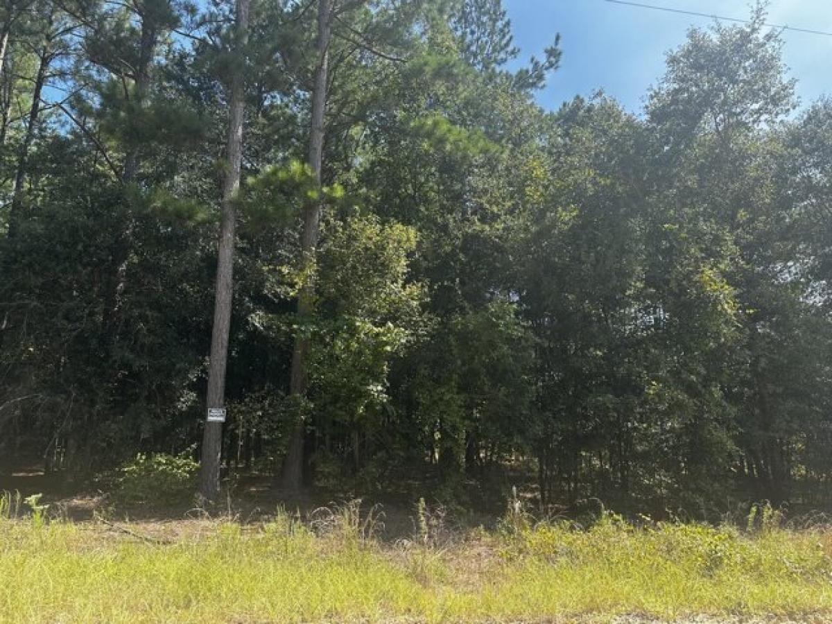 Picture of Residential Land For Sale in Hephzibah, Georgia, United States