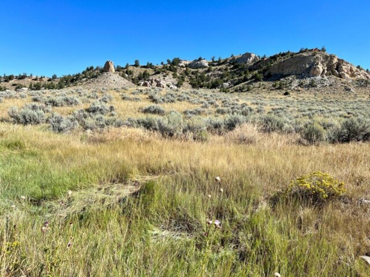 Picture of Home For Sale in Meeteetse, Wyoming, United States