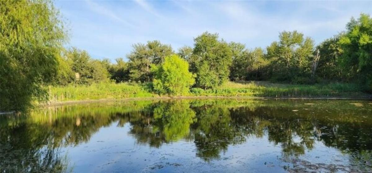 Picture of Home For Sale in Manor, Texas, United States