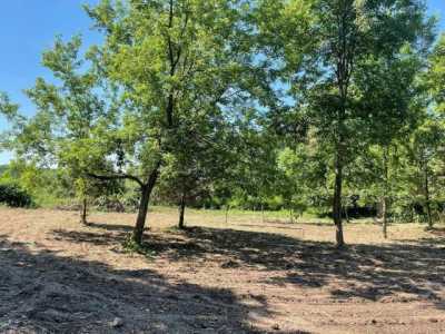 Residential Land For Sale in Fenwick, Michigan