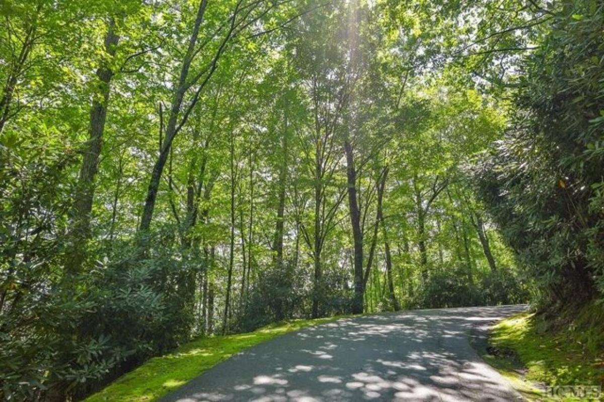 Picture of Residential Land For Sale in Cashiers, North Carolina, United States