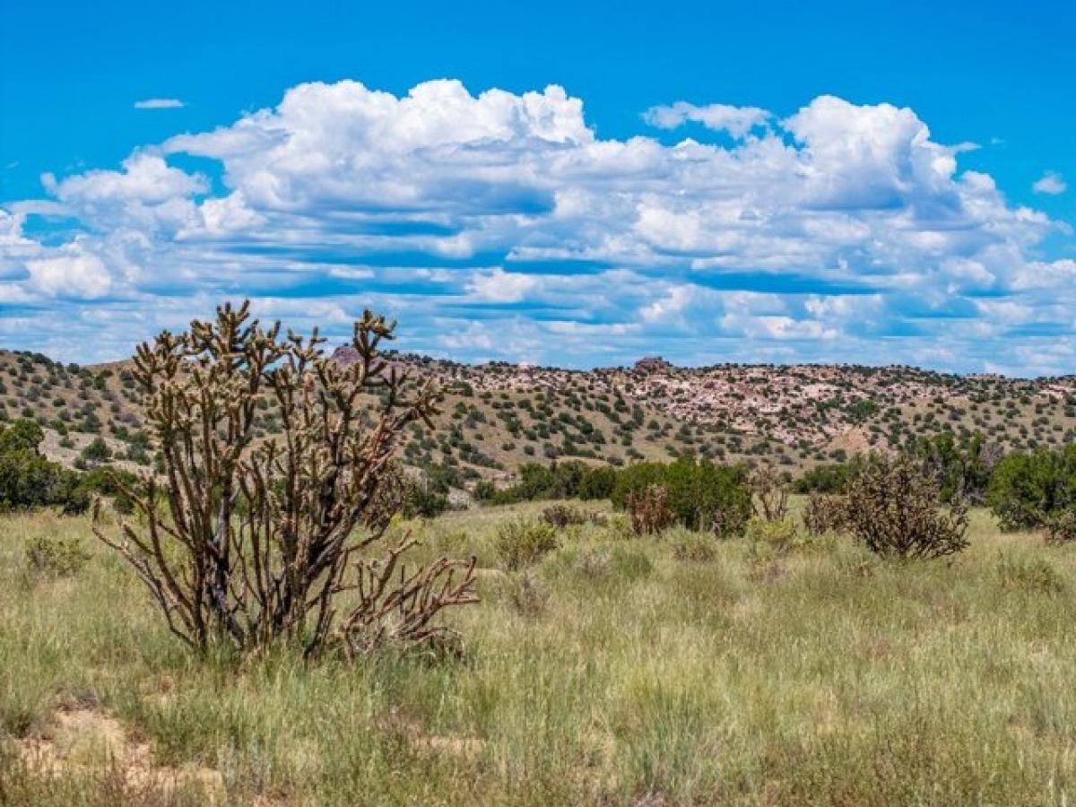 Picture of Residential Land For Sale in Cerrillos, New Mexico, United States