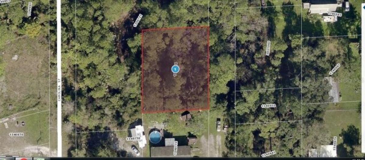 Picture of Residential Land For Sale in Paisley, Florida, United States