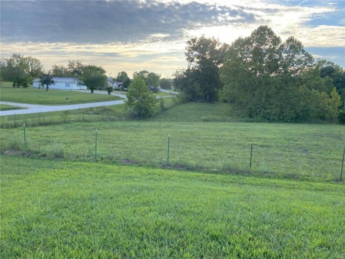 Picture of Home For Sale in Plato, Missouri, United States