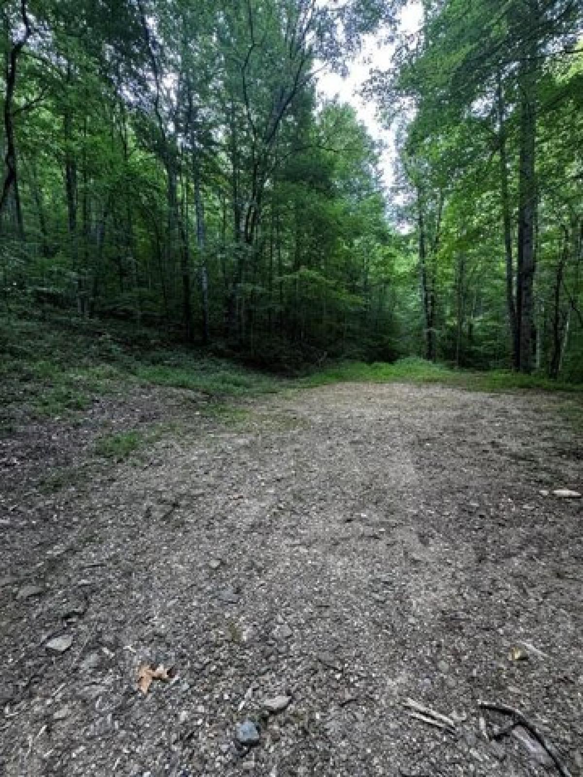 Picture of Residential Land For Sale in Bryson City, North Carolina, United States