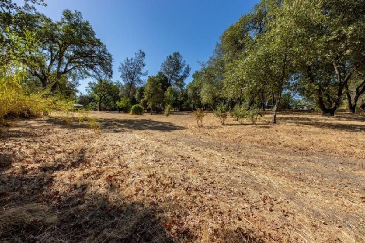 Picture of Residential Land For Sale in Shasta Lake, California, United States