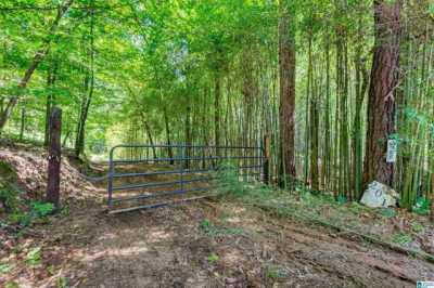 Residential Land For Sale in Clanton, Alabama