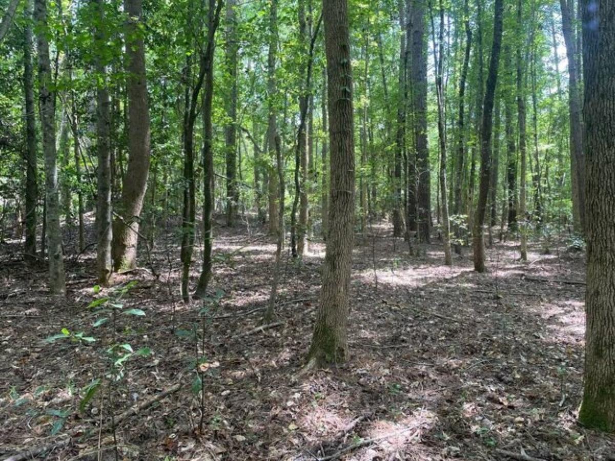 Picture of Residential Land For Sale in Aiken, South Carolina, United States