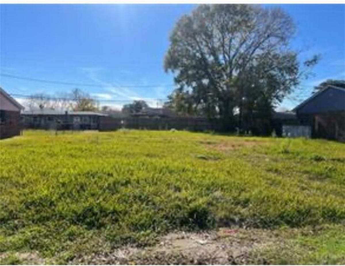 Picture of Residential Land For Sale in New Orleans, Louisiana, United States