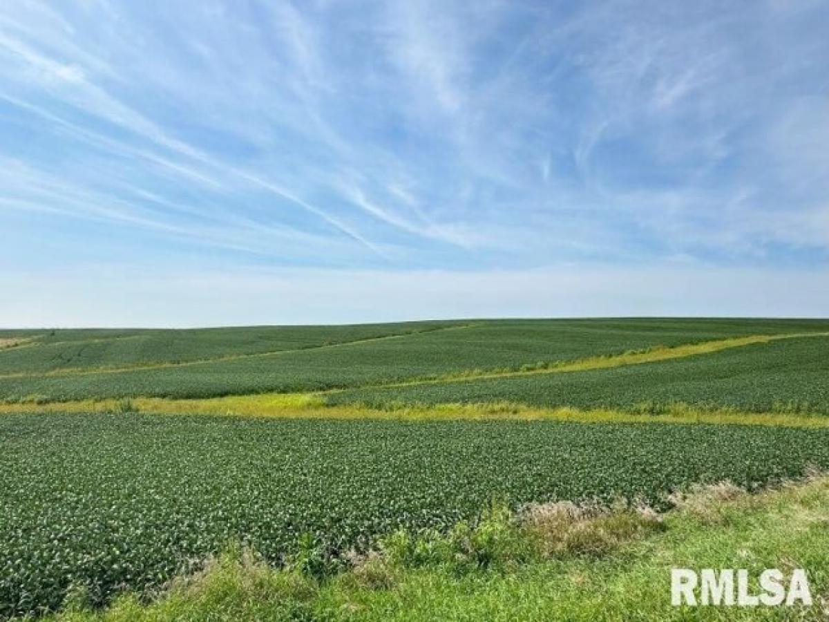 Picture of Residential Land For Sale in Delmar, Iowa, United States