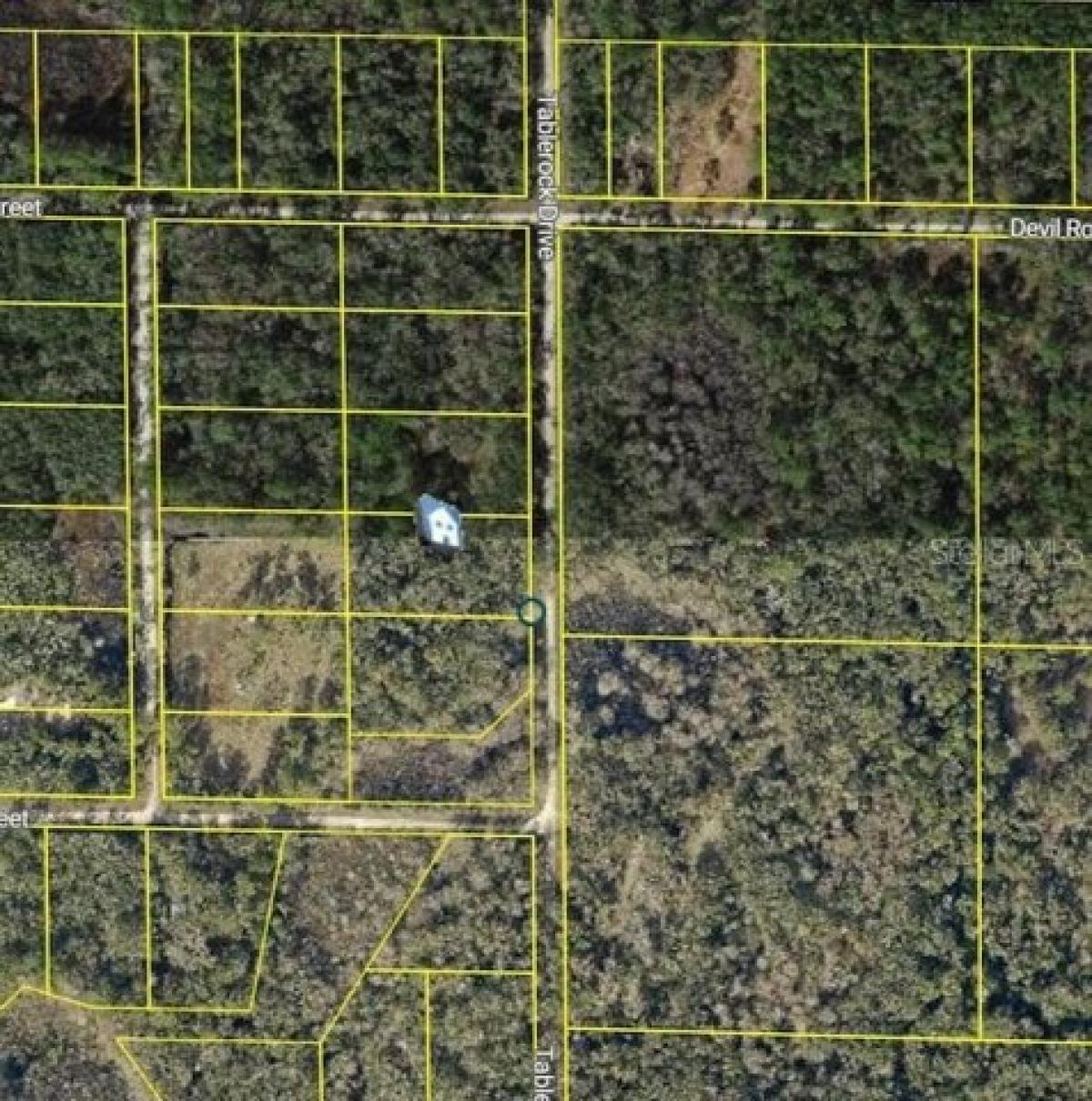 Picture of Residential Land For Sale in Webster, Florida, United States