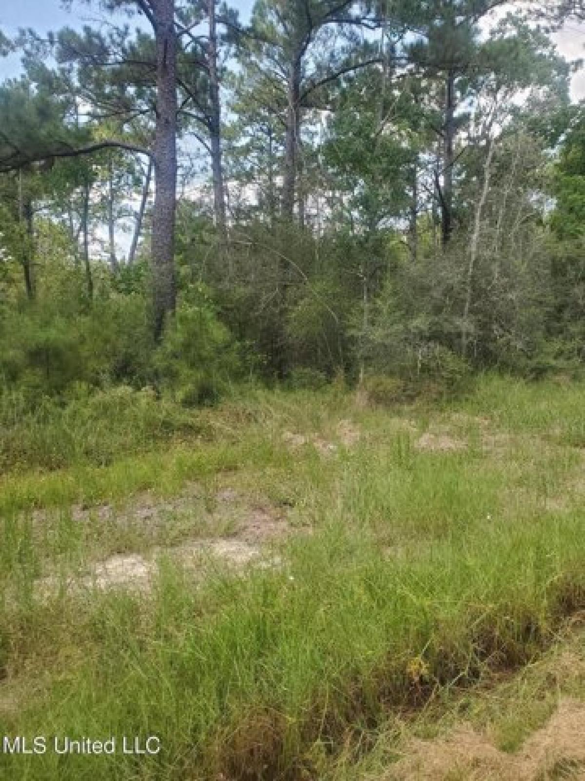 Picture of Residential Land For Sale in Bay Saint Louis, Mississippi, United States