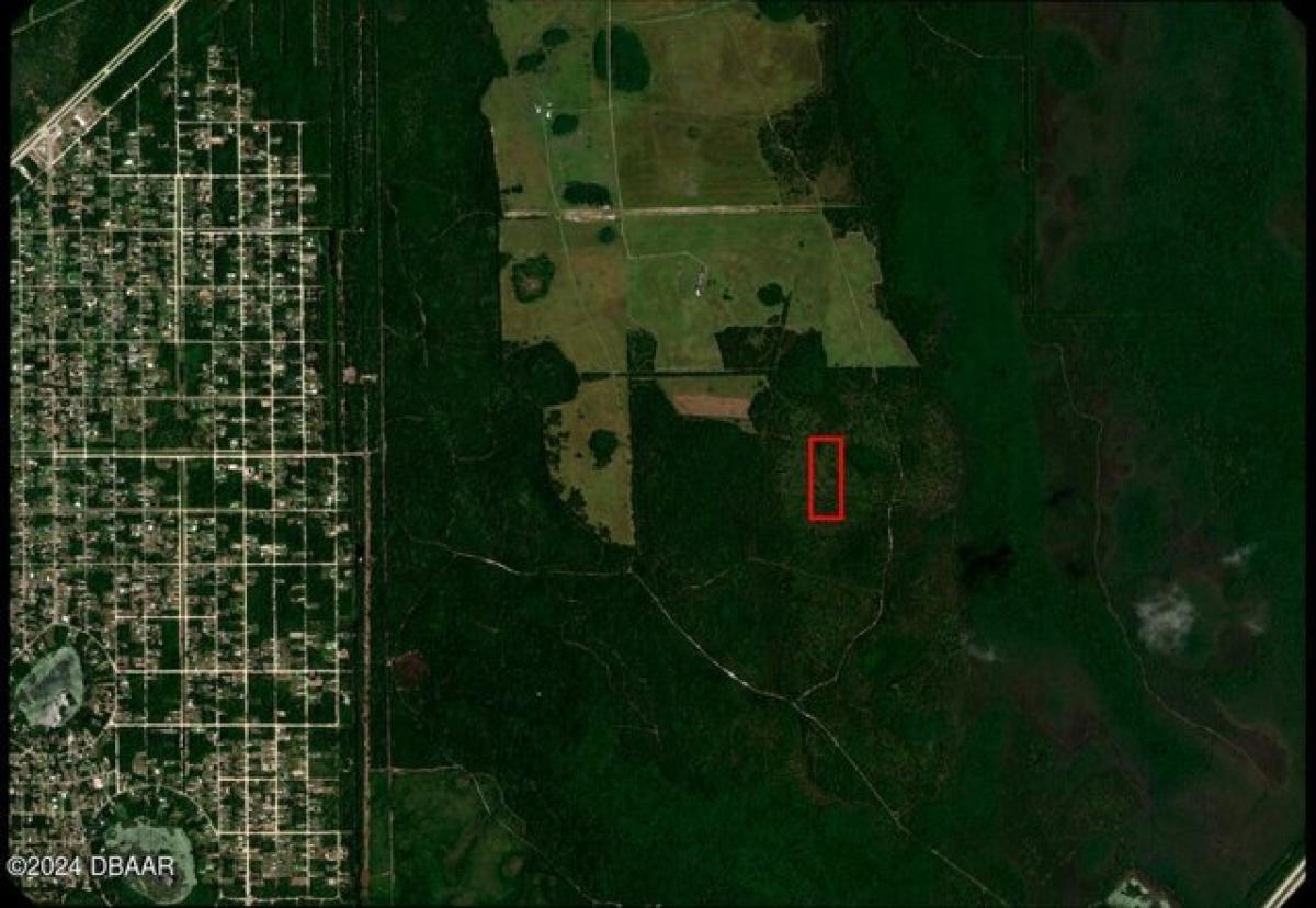 Picture of Residential Land For Sale in Deland, Florida, United States