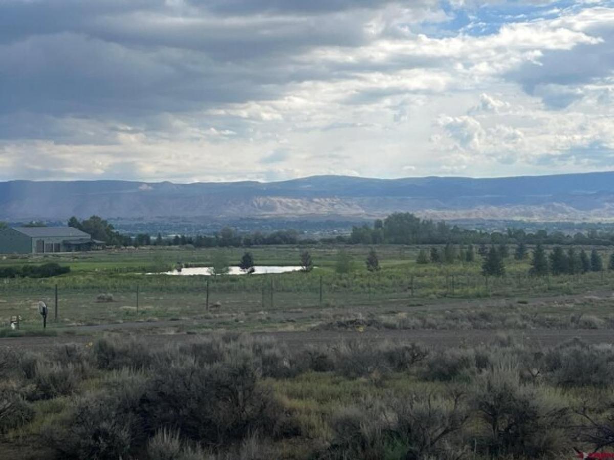 Picture of Residential Land For Sale in Montrose, Colorado, United States