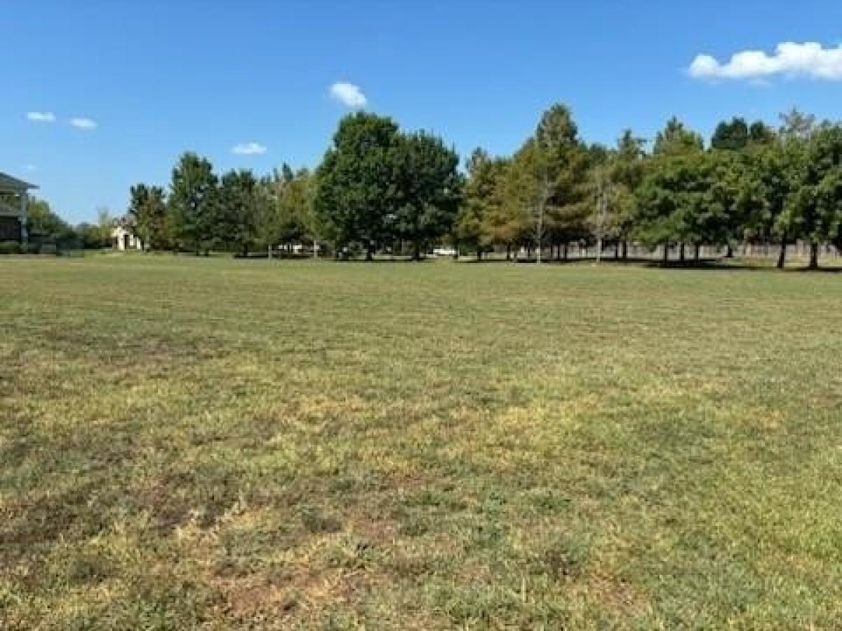 Picture of Residential Land For Sale in Alexandria, Louisiana, United States