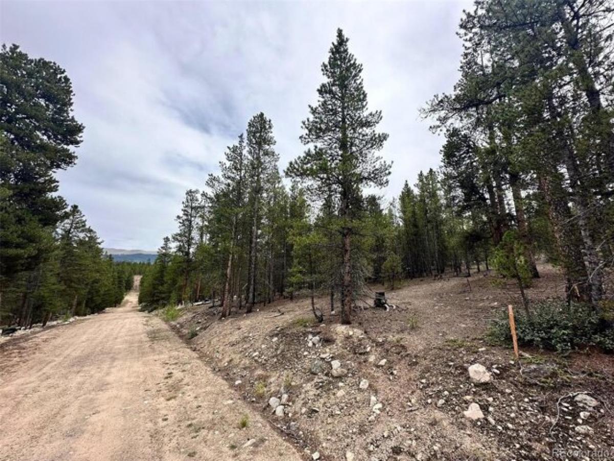 Picture of Residential Land For Sale in Twin Lakes, Colorado, United States