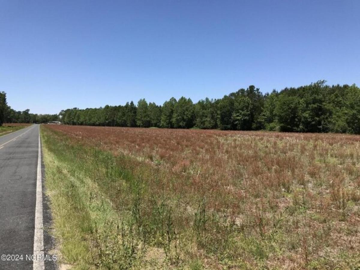 Picture of Residential Land For Sale in Ash, North Carolina, United States