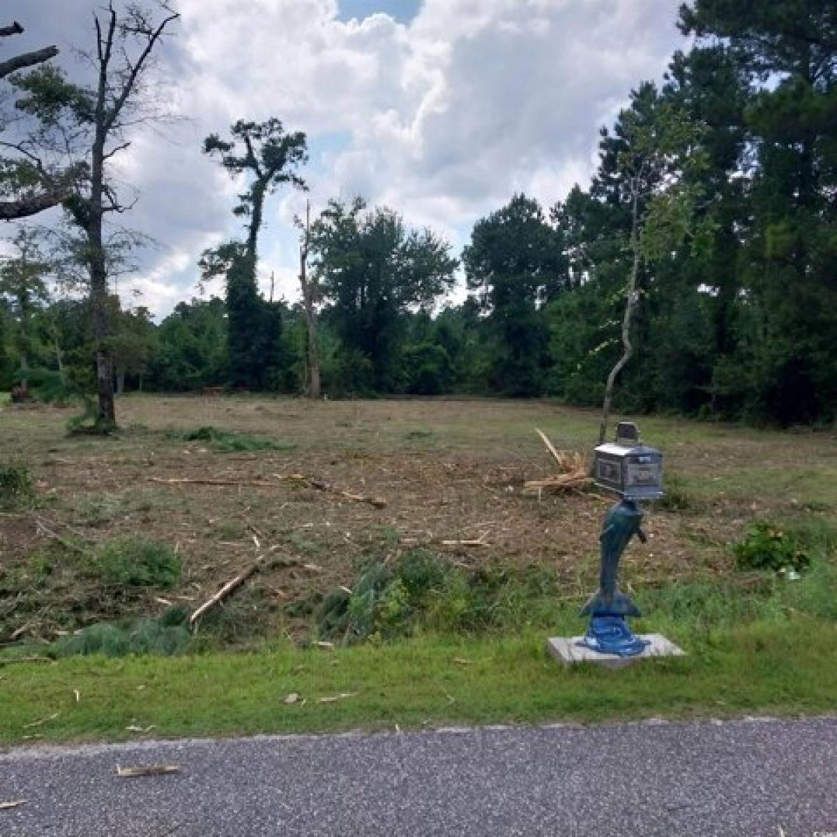 Picture of Residential Land For Sale in Conway, South Carolina, United States