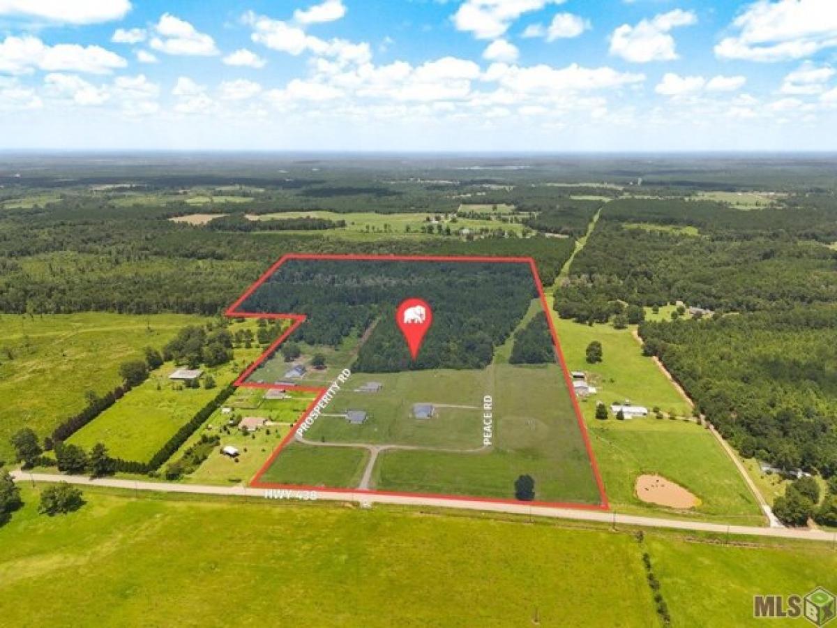 Picture of Residential Land For Sale in Franklinton, Louisiana, United States