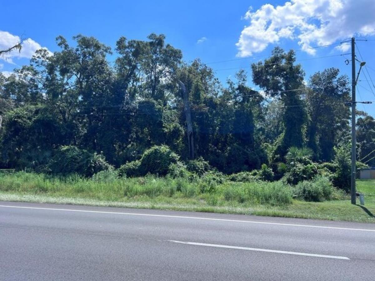 Picture of Residential Land For Sale in Fanning Springs, Florida, United States